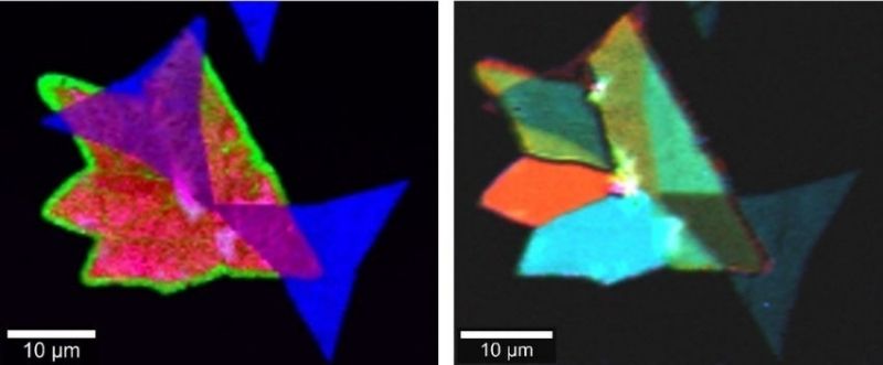 Raman and SHG images of a 2D material heterostructure (MoS2/WS2).