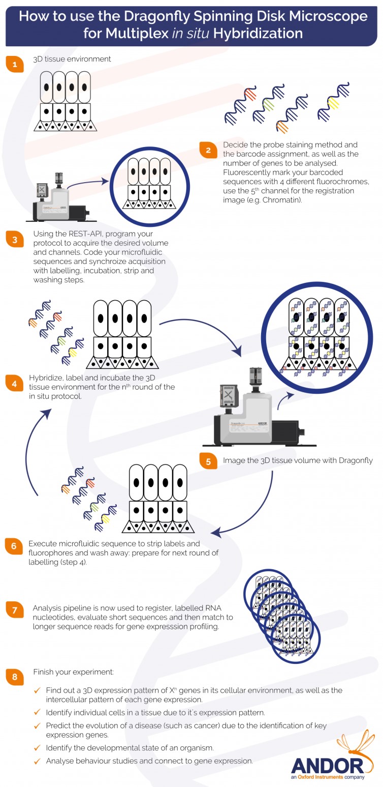 Multiplexing in cell biology is the unveiling of several (Xn) RNAs in its 2D or 3D biological context