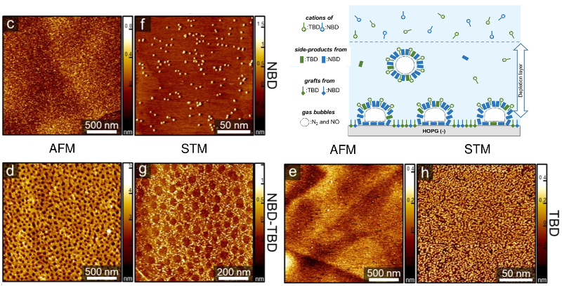 AFM and STM images of HOPG surface after grafting with pure NBD, pure TBD, and 1:1 NBD-TBD mixture; schematic of proposed nanocorral formation process. 