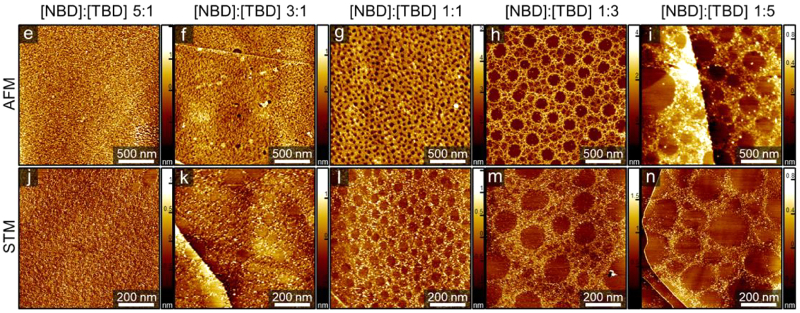 AFM and STM images of samples grafted with different NBD:TBD ratios.