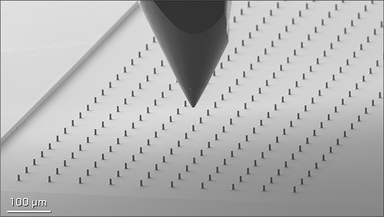In situ secondary electron micrograph of deliberately misaligned Silicon pillar array.