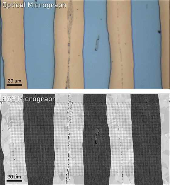 Optical and SEM micrograph of the Fe/CuSn4 laminate.