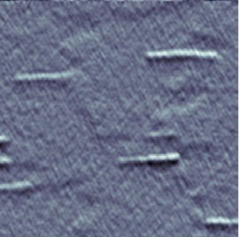 AFM image of the investigated QWRs