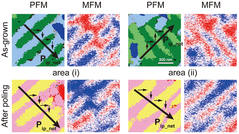 Images of total PFM response and MFM phase for two different locations on a BFCO film: (top) on the as-grown film and (bottom) after poling.