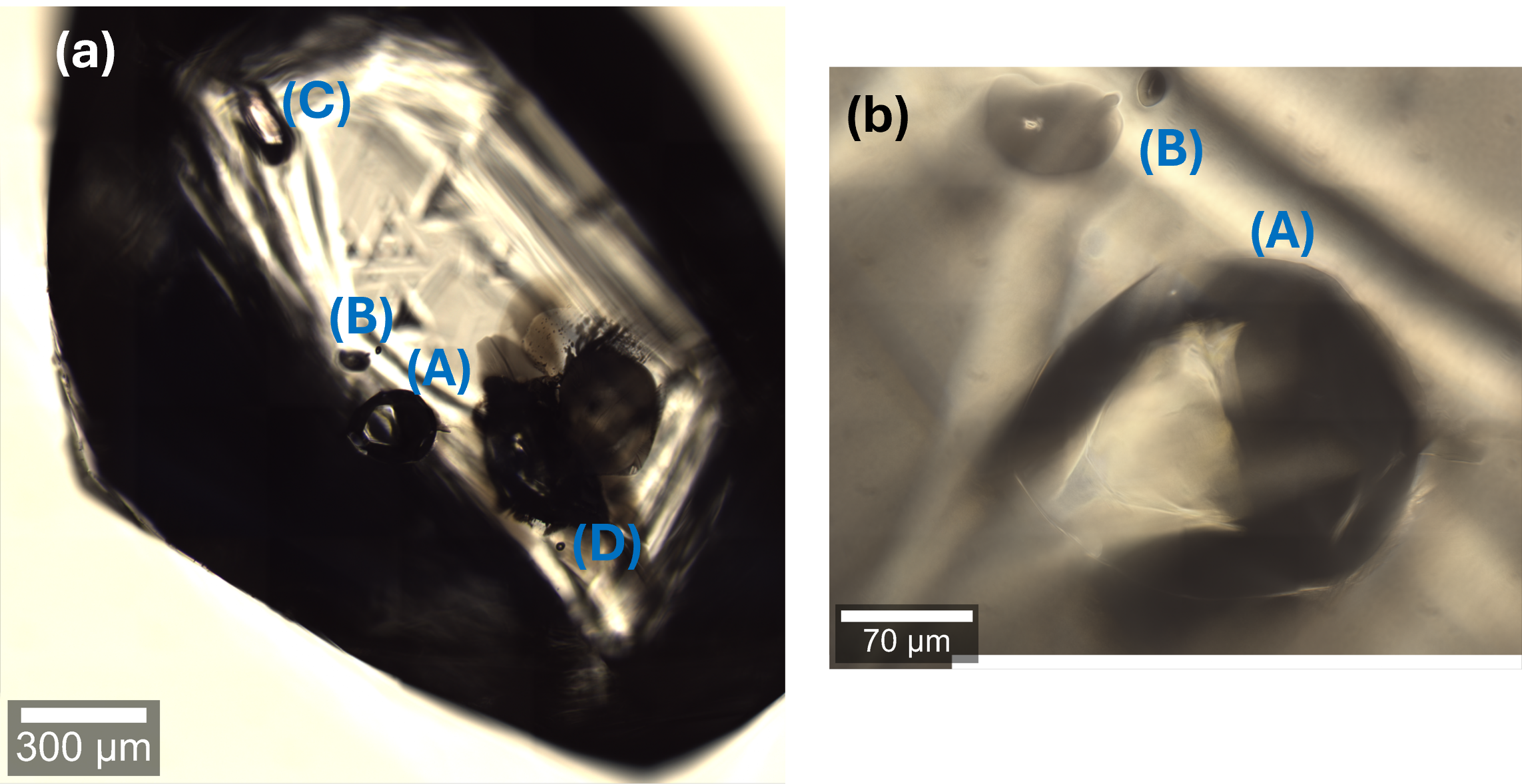 Optical localization of inclusions within diamonds