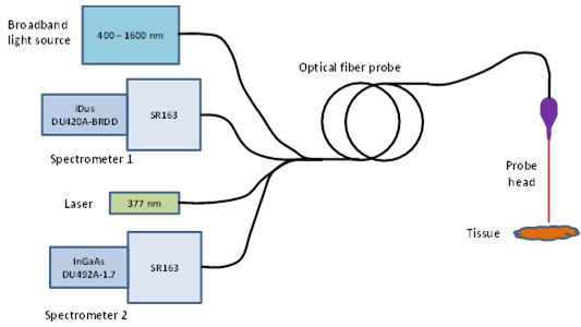 A schematic description of the instrument