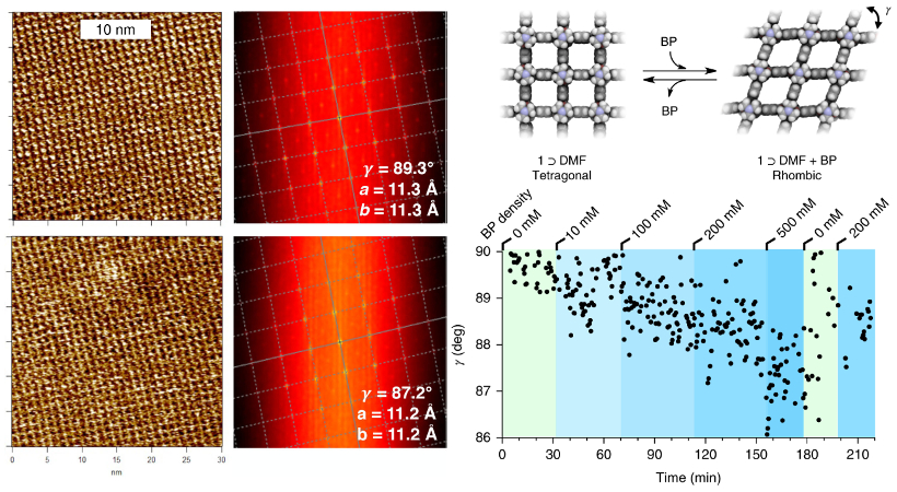 Lattice-scale topography images of PCP surface in DMF/BP solution and corresponding 2D autocorrelation functions; schematic illustration of lattice deformation induced by BP; plot of rhombic angle γ versus time.