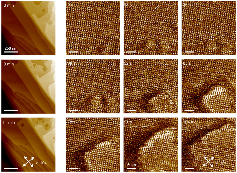 Topography images showing layer-by-layer delamination under perfusion flow of BP in DMF solution.