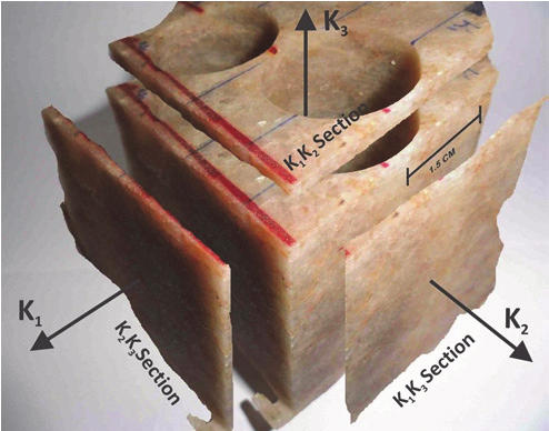 Representative quartzite sample from Rengali showing K1K3 section of the AMS ellipsoid