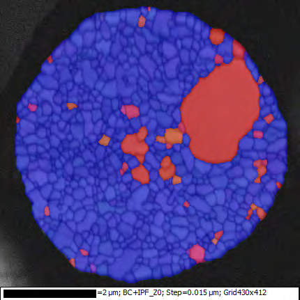 Fig. 3: SE image of gold wire section tilted at 70° for EBSD analyses. The grain structure can be clearly seen.
