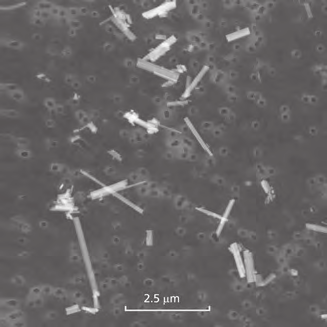 TEM image of amosite fibres