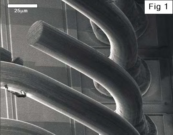 Figure 1: Secondary electron image of FIB-sectioned gold wires