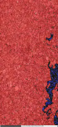 TKD band contrast map and inverse pole figure orientation map of nanocrystalline nickel with sigma 3 CSL boundaries shown in red; scale bar 1μm