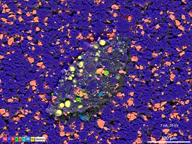 Figure 2: Rapid, high-resolution BEX imaging with Unity showing multiple contamination types in anode and cathode samples. Image (a) shows Cu contamination smaller than 1 µm in an anode sample; (b) larger clusters of Ti; (c) precipitated sulphur contamination coating a larger NCM particle; (d) a micron-sized grain of calcium sulphate in a valley between particles.