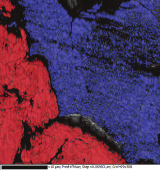 Fig. 11. EBSD IPF map after ion milling of magnesium