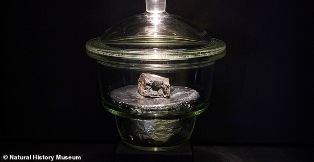 Winchcombe meteorite displayed at the Natural History Museum of London. Photograph from Trustees of the Natural History Museum, London.