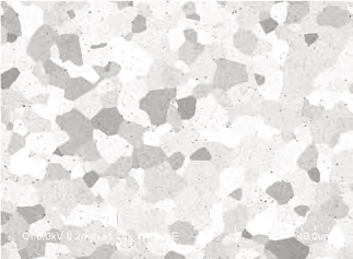 Fig. 3. EBSD IPF map