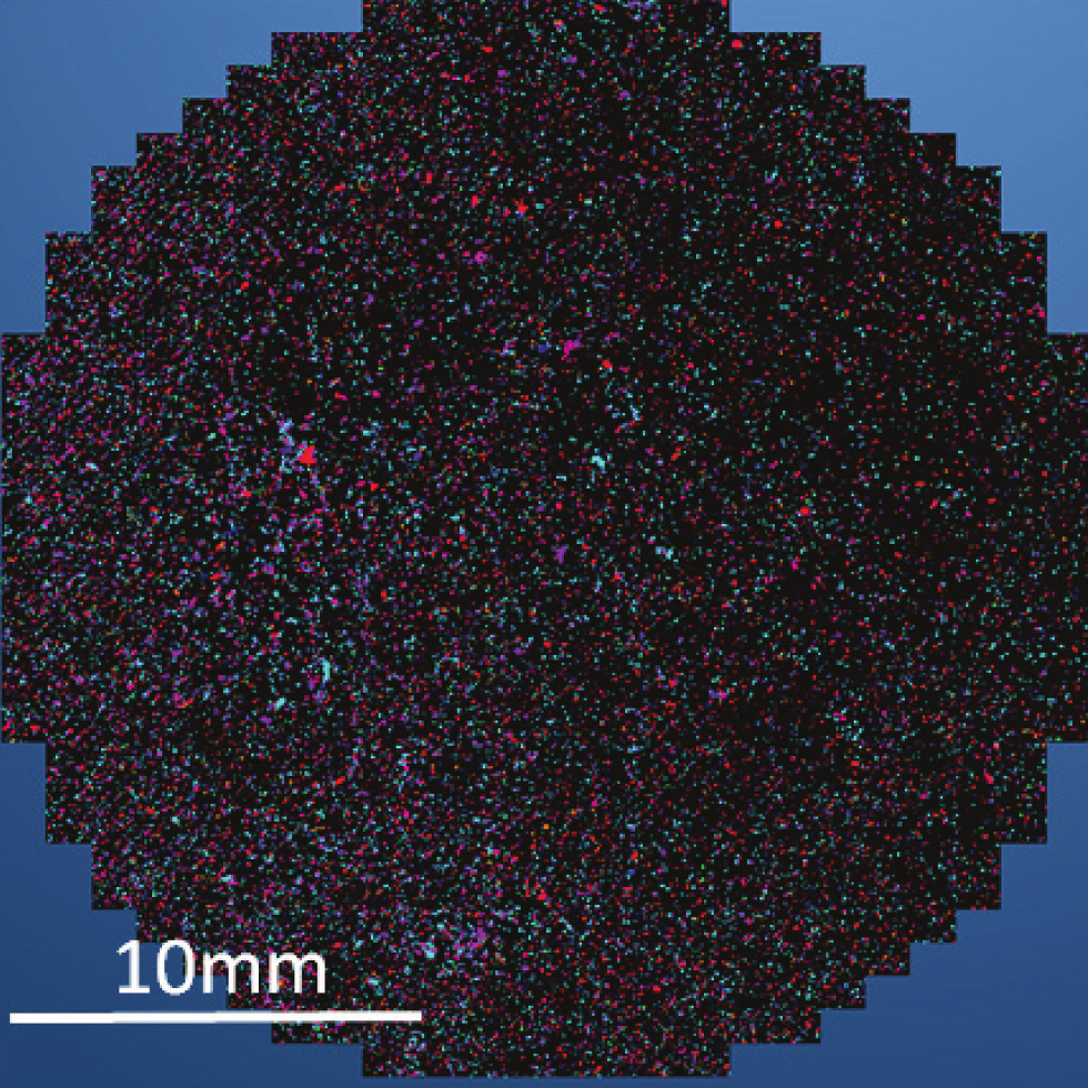 Fig. 3 – Montaged image of the entire filter showing detected particles