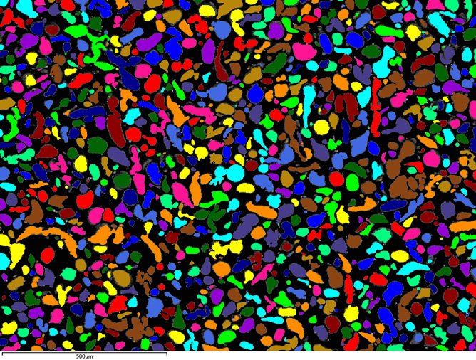Fig. 2a – A single field of view showing particles detected (particles in colour)