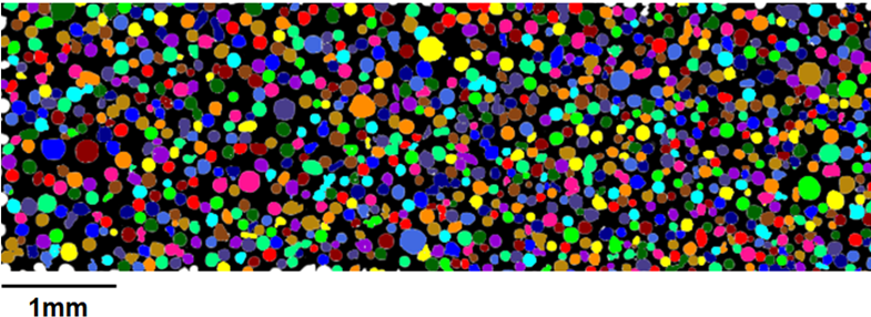 Fig 1. Automated large area analysis covering an area of 22mm², showing the individual detected particles