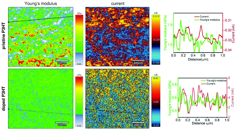 Images of (left) Young’s modulus and (middle) current for (top) pristine and (bottom) doped P3HT films; (right) section graphs along the lines indicated in the images.