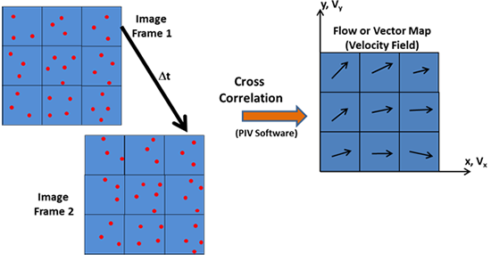 Generation of the Vector map by Image Processing with specialist PIV software