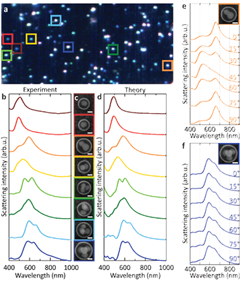 Figure 1: Optical properties of small (N ≤ 4) nanoclusters. (a) Darkfield scattering hyperspectral image of nanoclusters performed over 100 × 100 μm squares, (b) Small (N ≤ 4) silver nanoclusters dark-field scattering spectra. Corresponding SEM images are shown in c. (d) Finite element method calculations of the scattering spectra of the individual nanoclusters (e) Polarization-dependent scattering spectra of the dimers (f) Polarization-dependent scattering spectra of the tetrahedron. Scale bars correspond to 50 nm.