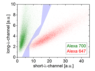 SD-dSTROM reconstruction of microtubules. Microtubules were stained separately with either Alexa 647 (red) or 700 (green) and imaged with SD-dSTORM