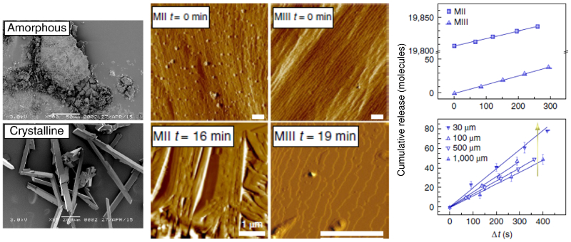 Scanning electron micrographs of amorphous and crystalline GW2580; time-resolved AFM images of MII and MII type crystals in PBS; cumulative release versus time for same-size MII and MIII crystals and for different sizes of MIII crystals.