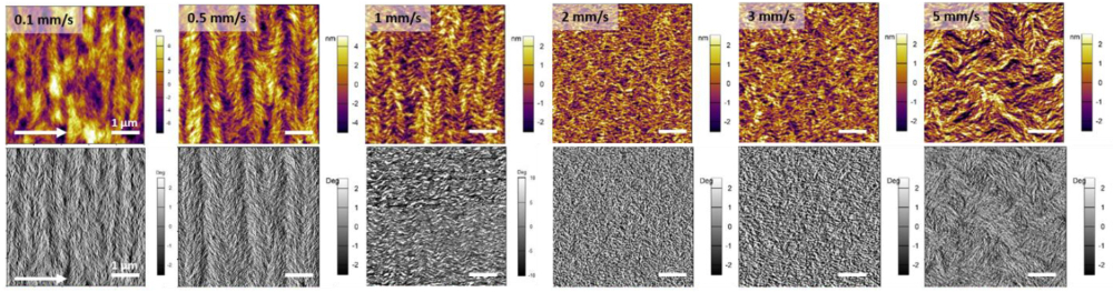 Tapping mode topography and phase images of films printed at six different speeds between 0.1 mm/s and 5 mm/s