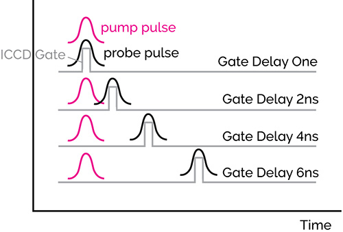 Raman Spectroscopy