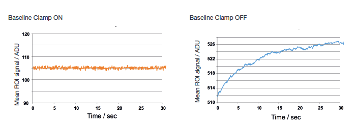 Quantitative Stability