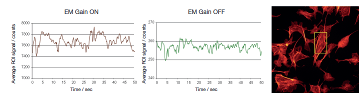 Quantitative Stability