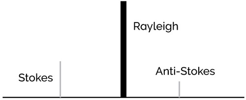 Raman Spectroscopy