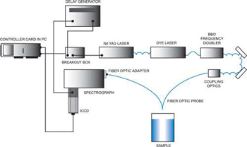 Raman Spectroscopy