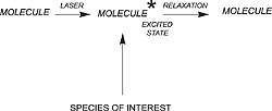 Raman Spectroscopy