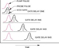 Raman Spectroscopy