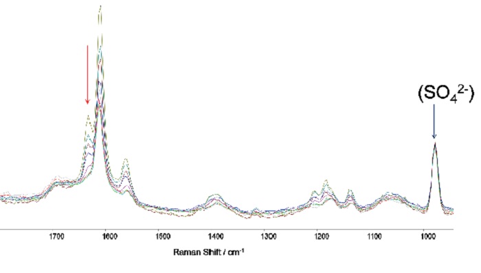 A series of captured Raman spectra illustrating how the variation in intensity of the feature at 1631 cm-1 facilitates monitoring of the reaction process through time