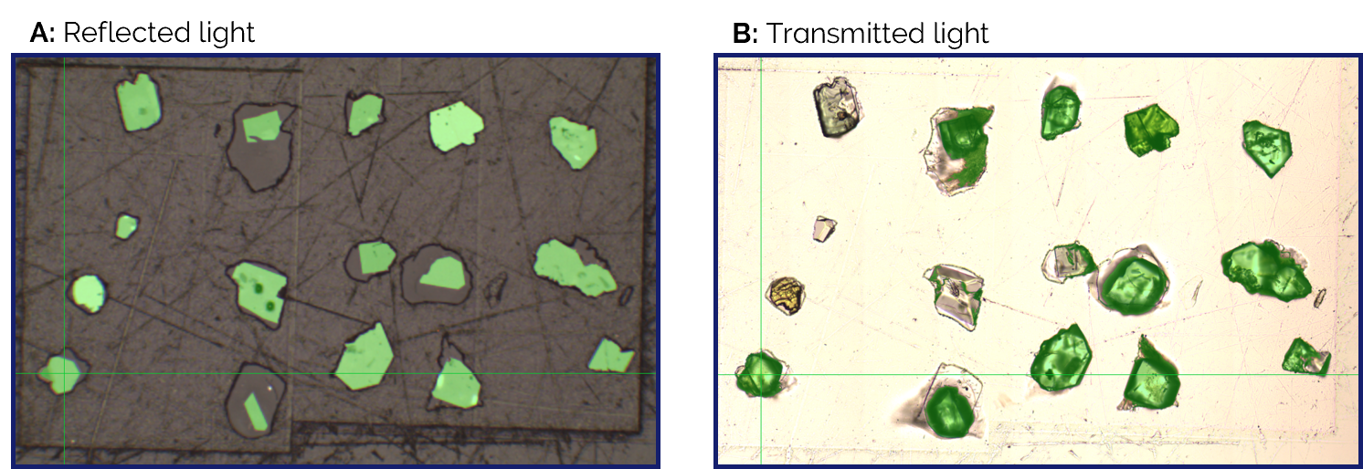 Reflected light image of epoxy resin mounted zircon grains