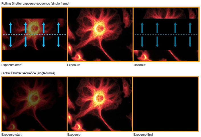 Simplified illustration showing sequence of events in rolling and global shutter modes