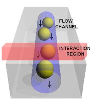 Raman Spectroscopy