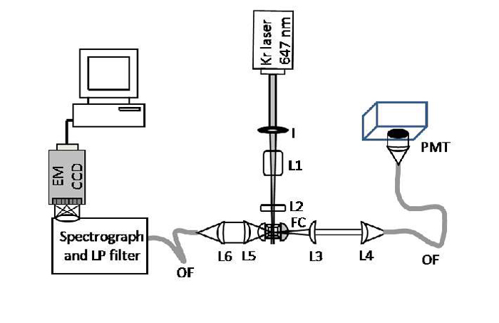 Raman Spectroscopy