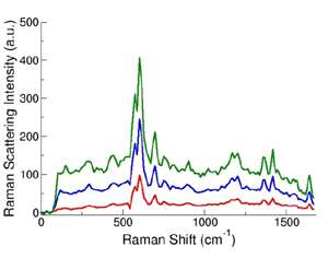 Raman Spectroscopy