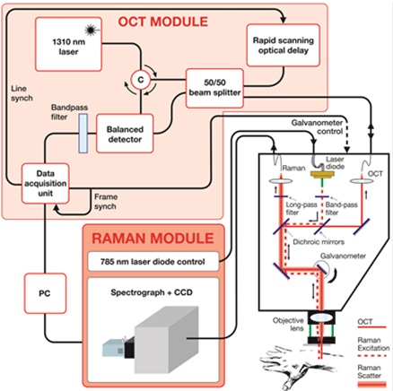 Schematic showing the raman system layout