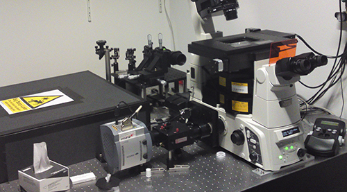 The setup for multi-colour direct STORM in the lab of Jan Schmoranzer and Andre Lampe showing the iXon3 897 and the OptoSplit II