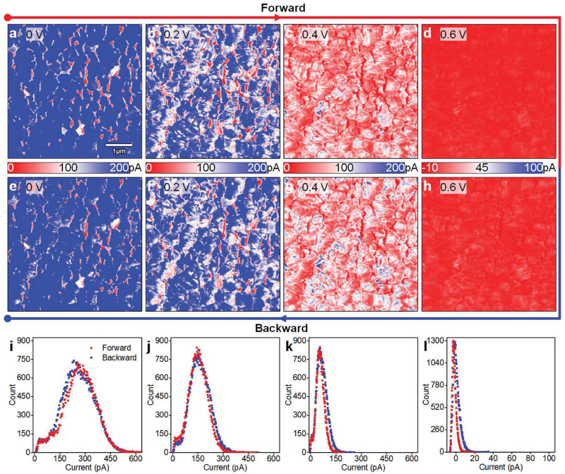 CAFM photocurrent images of CsFAMA and corresponding histograms acquired under forward and backward voltage biases from 0 V to 0.6 V.