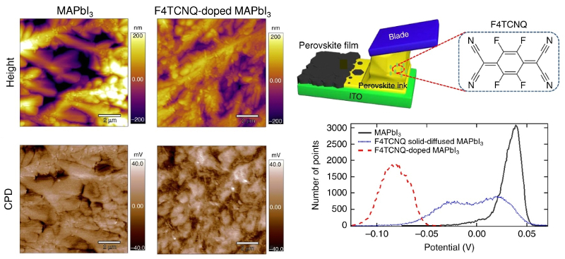 Topography and KPFM images of undoped and F4TCNQ-doped MAPbI3 films with corresponding KPFM histograms; schematic of doctor blading and doping process