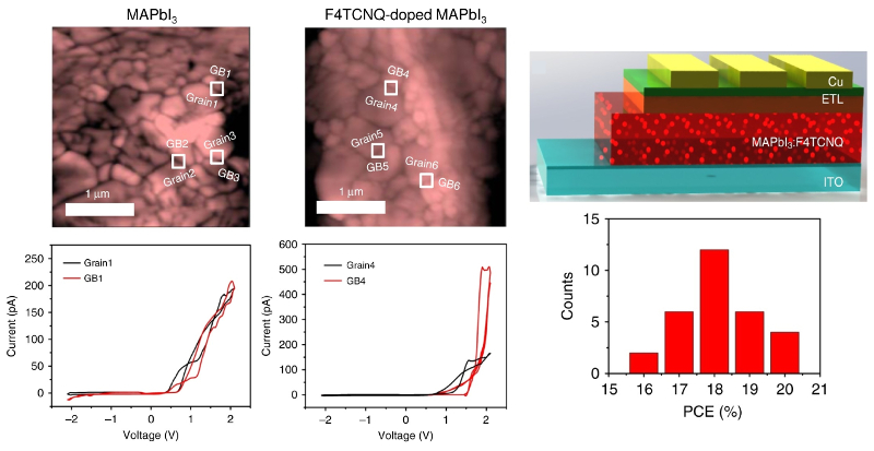Topography images of undoped and F4TNCQ-doped MAPbI3 films indicating locations where I-V curves were acquired; representative I-V curves on and off grain boundaries; schematic of F4TCNQ-doped MAPbI3 solar cell design and histogram of measured PCEs.