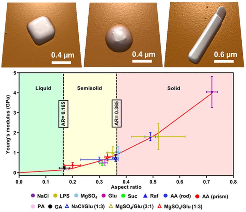 Topography images of sea spray components with prism, core-shell, and rod morphologies; graph of Young’s modulus versus aspect ratio indicating correlation with phase state.