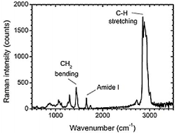 Raman spectrum of a single platelet-derived vesicle. The peaks reveal specific chemical bonds, which are present in this vesicle